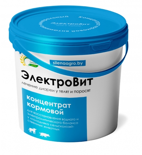 ЭлектроВит