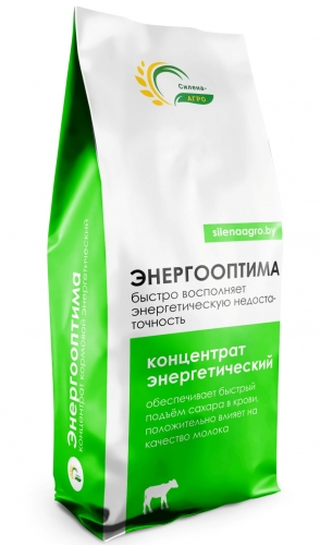 ЭнергоОптима